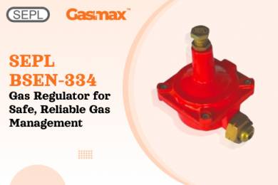 SEPL BSEN-334 Gas Regulator for Safe, Reliable Gas Management